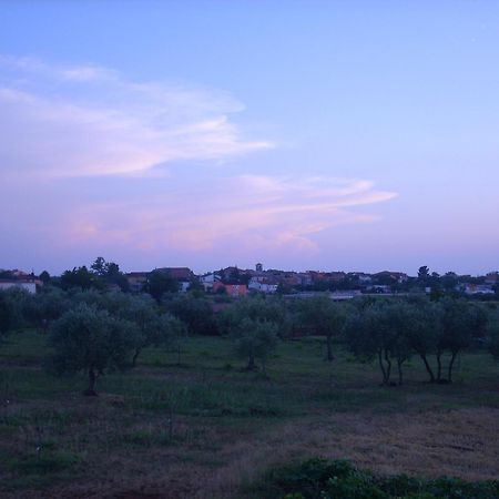 Apartments Zdravac อูมัค ภายนอก รูปภาพ